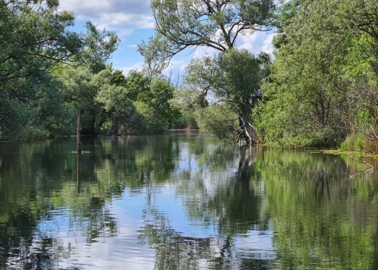 Hutovo blato – mjesto s najraskošnijom florom i faunom u Hercegovini