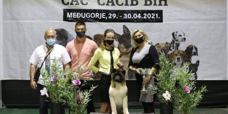 Mlada handlerica iz Posušja i njezin štenac američke akite ostvaruju vrhunske rezultate