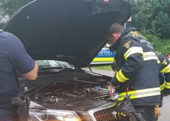 Muškarac iz BiH ispod haube automobila u Njemačku dovezao poskoka