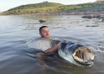 Ulovio soma od 60 kilograma: Vukao me 1.500 metara, borili smo se 90 minuta