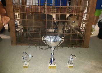 Otvorene prijave za lovački malonogometni turnir Buhovo