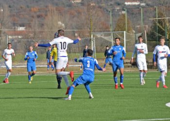 Široki Brijeg, Posušje i Dugopolje na Šuškovu memorijalu