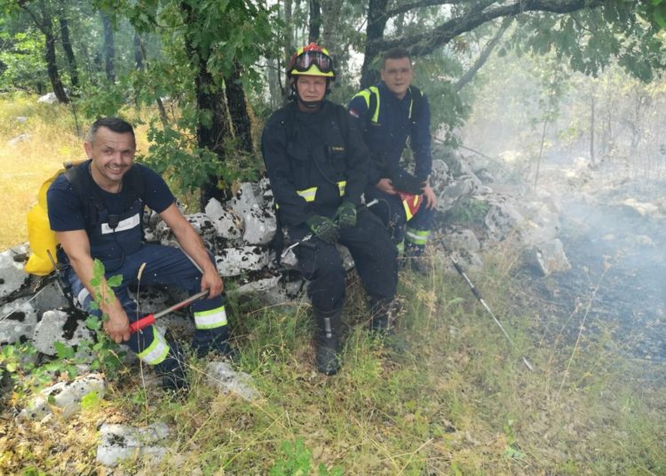 Širokobriješki, grudski i posuški vatrogasci dva dana se bore s velikim požarom