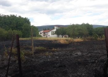 U ŽZH zabilježena tri požara, gorjelo nisko raslinje i sijeno u balama