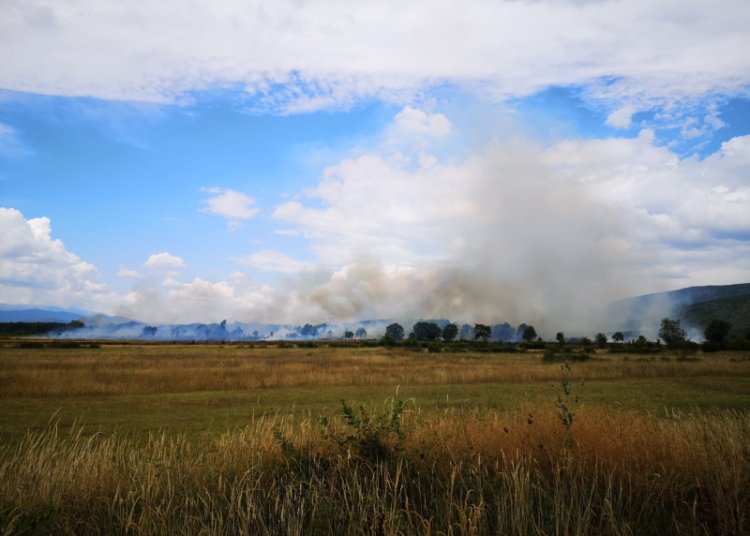 Grudski vatrogasci obranili kuće u Bobanovoj Dragi
