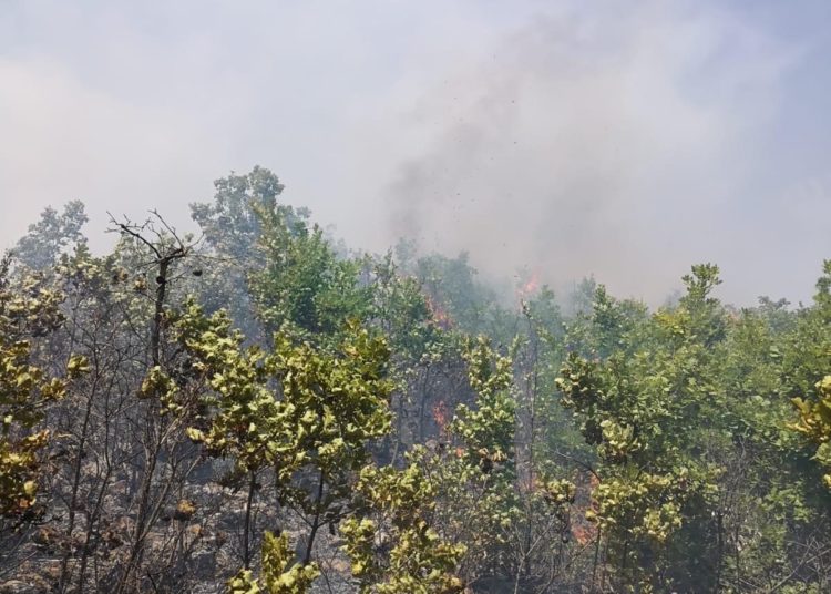 Širokobriješki, grudski i posuški vatrogasci dva dana se bore s velikim požarom