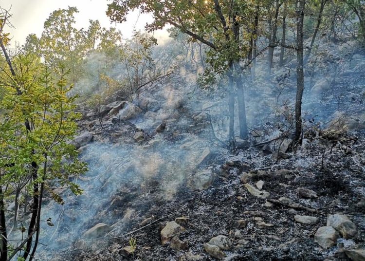 Vatrogasci iz Širokog Brijega, Posušja i Gruda već se nekoliko dana bore s požarom