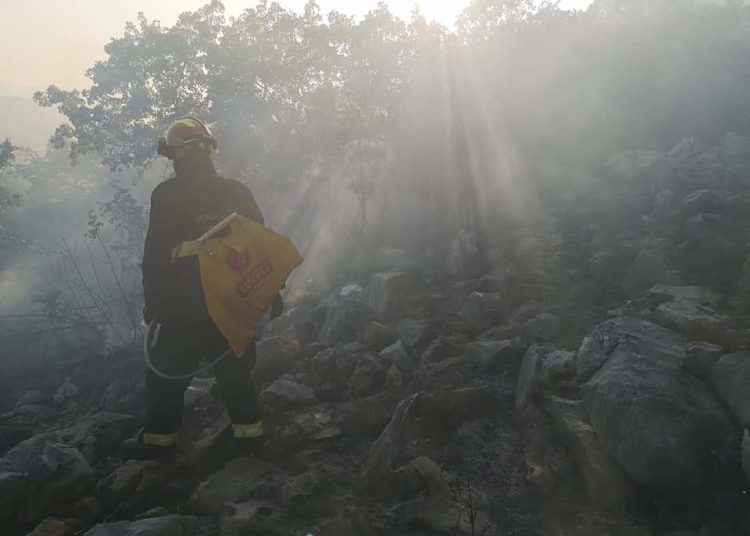 Vatrogasci iz Širokog Brijega, Posušja i Gruda već se nekoliko dana bore s požarom