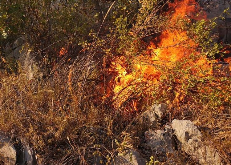 Vatrogasci iz Širokog Brijega, Posušja i Gruda već se nekoliko dana bore s požarom
