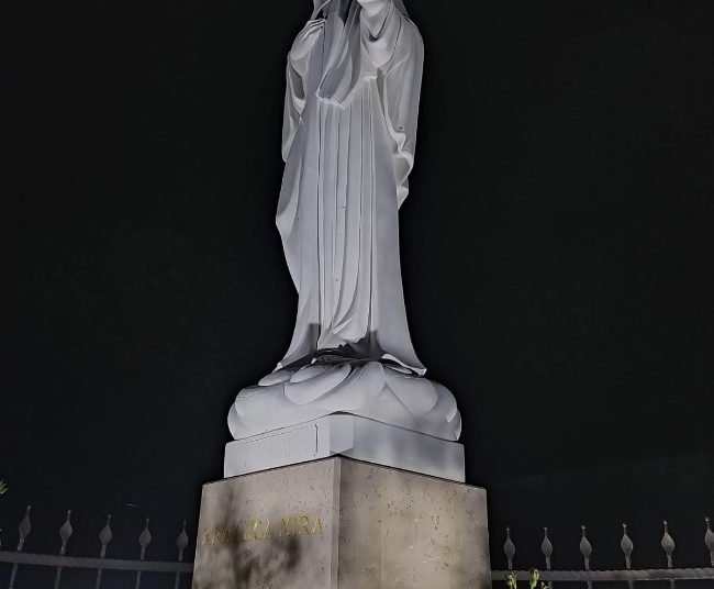 Ljubuški: U Zvirićima uređen spomenik Kraljici mira “Došli smo ti majko draga”