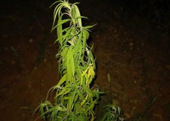 MUP ŽZH: Uspješna zasjeda u Jarama