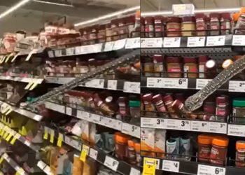 Otišla u trgovinu pa ugledala tri metra dugu zmiju: “Bila mi je oko 20 centimetara od lica”