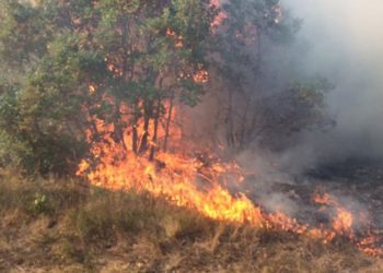 Vjetar otežava gašenje požara kod Tomislavgrada