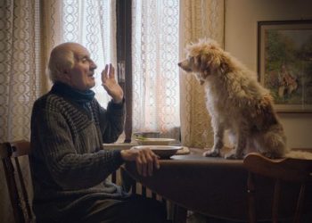 ‘Lovci na tartufe’ za otvaranje, ‘Ljubav oko svijeta’ za kraj Mediteran Film Festivala