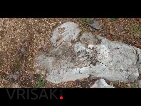 Široki Brijeg: Poskok u drvima