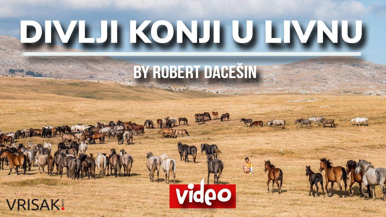 Europska Mongolija: Idiličan kraj kod Livna kojim galopira 800 divljih konja