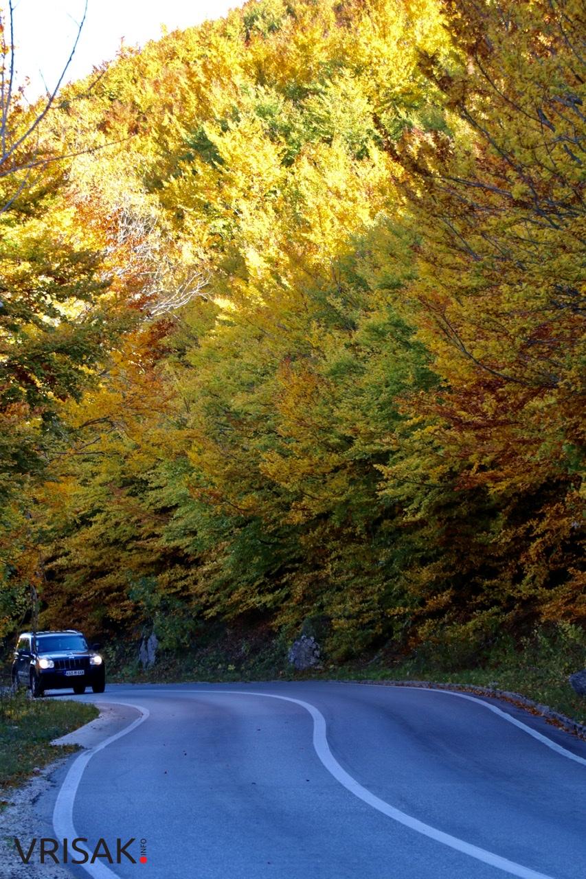 Jesen – kraljica boja