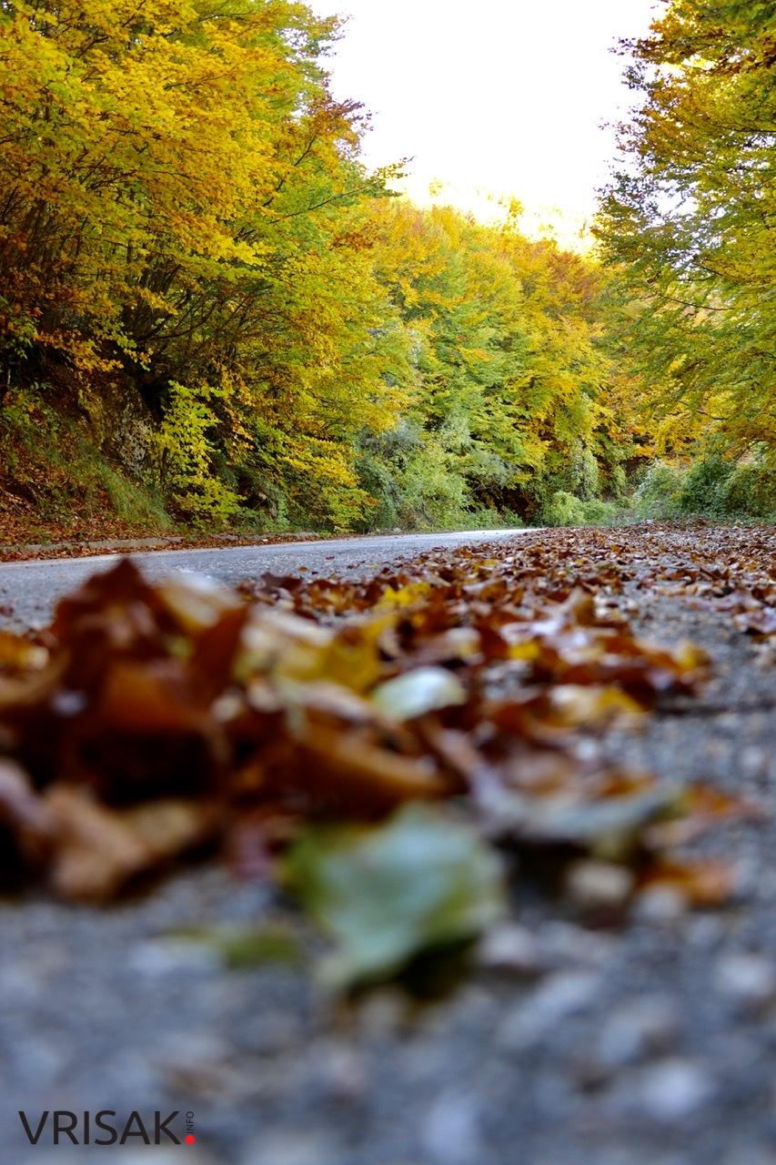 Jesen – kraljica boja