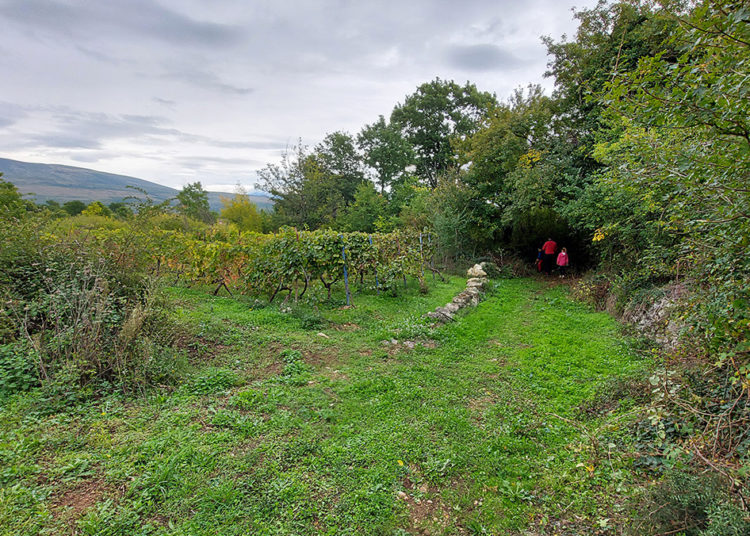 Velika akcija čišćenja u Uzarićima „Čuvaj, pazi, ne bacaj!“