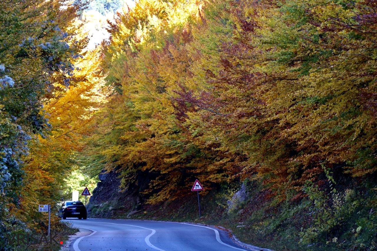 Jesen – kraljica boja