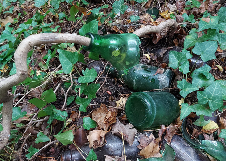 Velika akcija čišćenja u Uzarićima „Čuvaj, pazi, ne bacaj!“