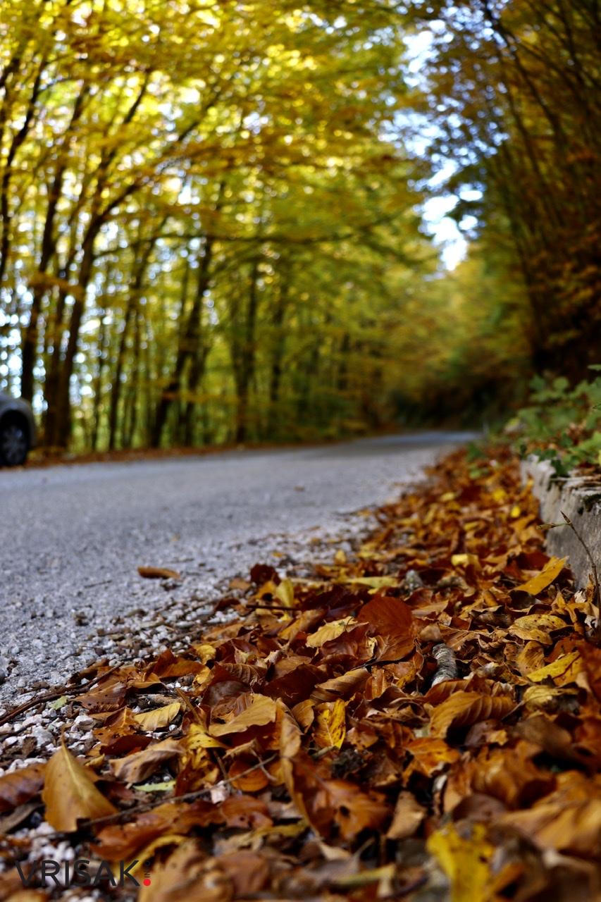 Jesen – kraljica boja