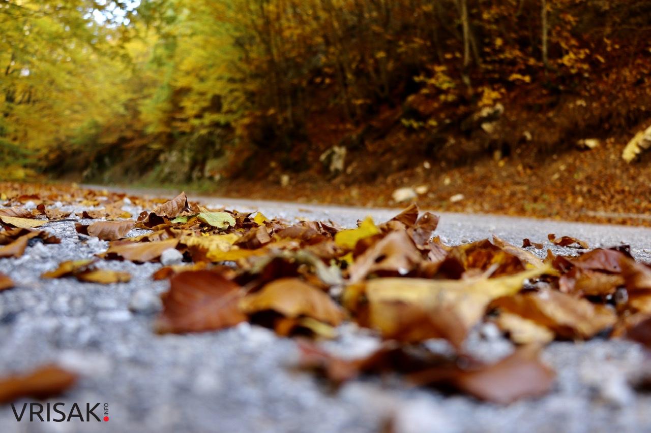 Jesen – kraljica boja