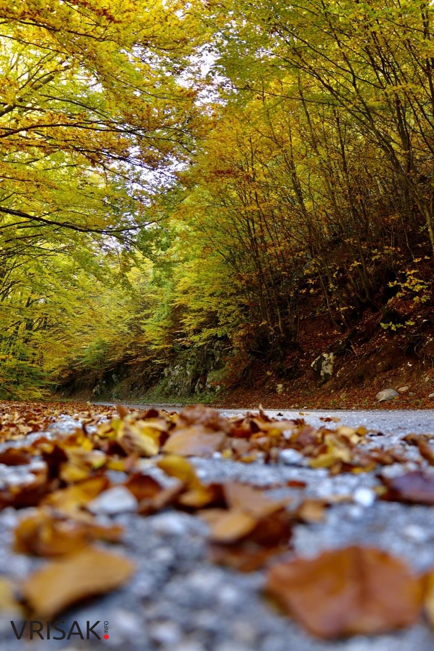 Jesen – kraljica boja