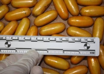 U crijevima i želucu prenosila skoro 1kg kokaina u kapsulama