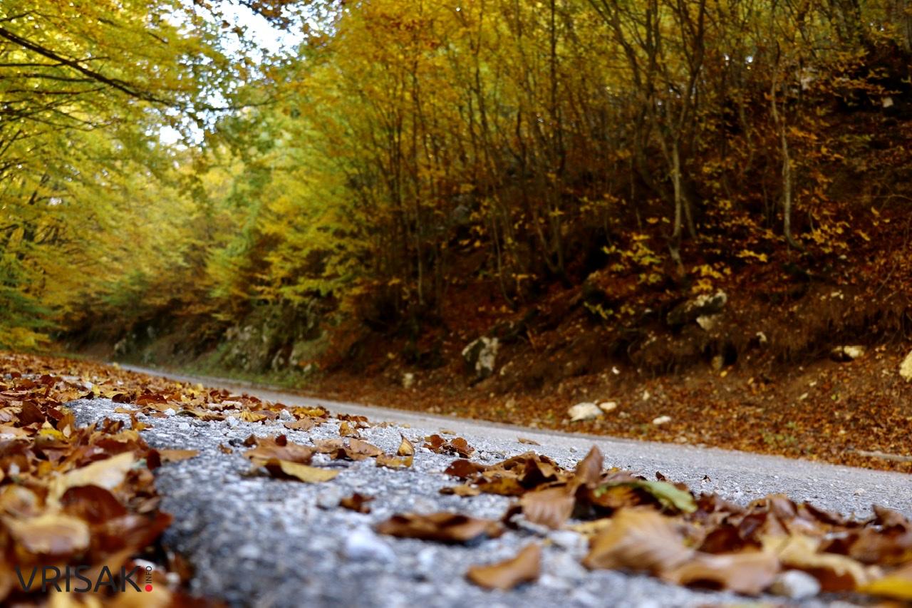 Jesen – kraljica boja