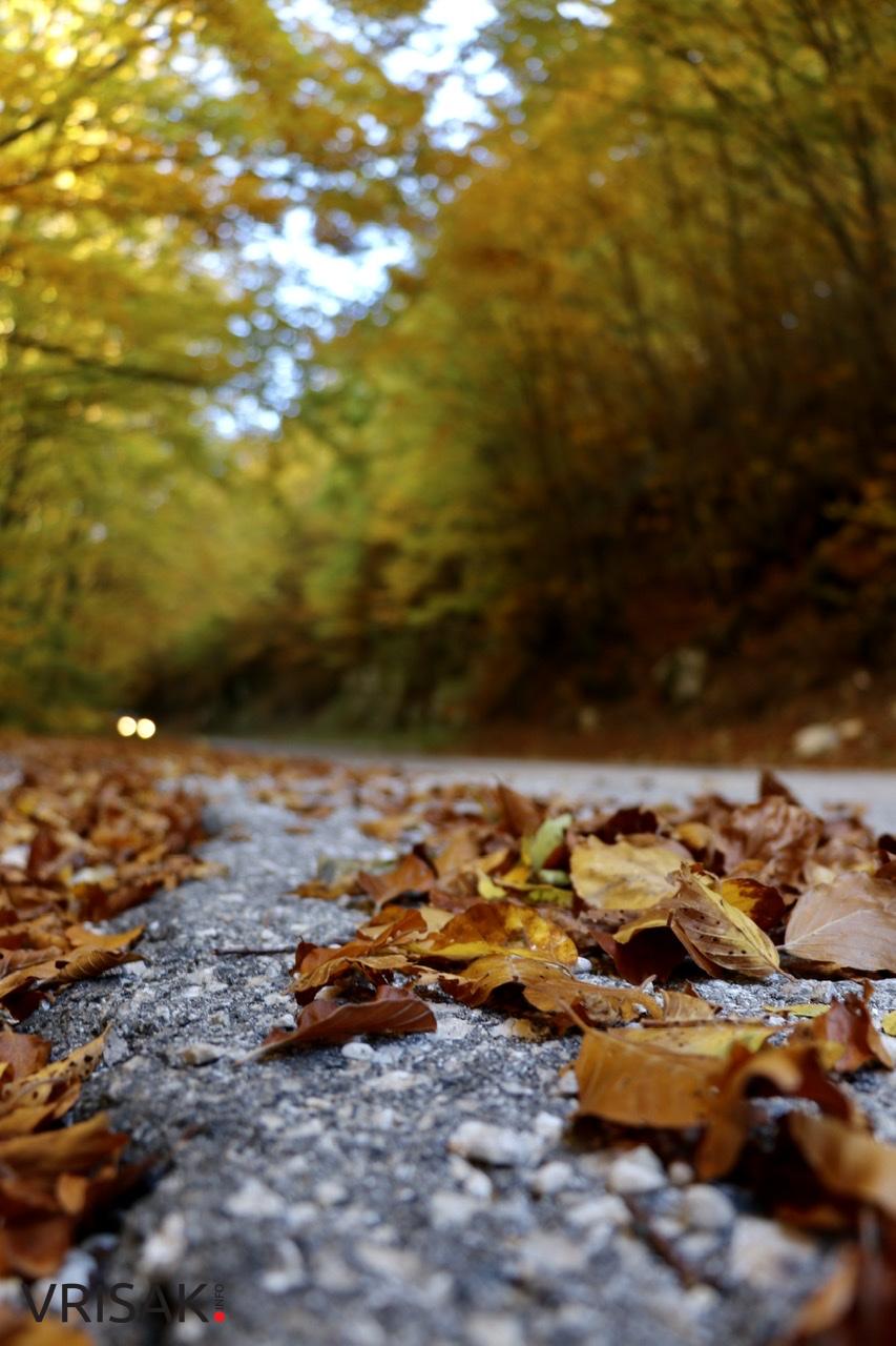 Jesen – kraljica boja