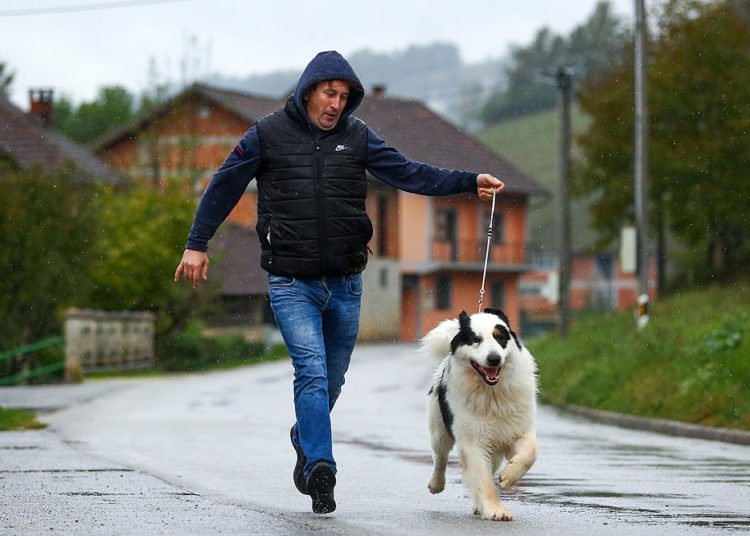 Tornjak iz BiH proglašen najljepšim na svijetu