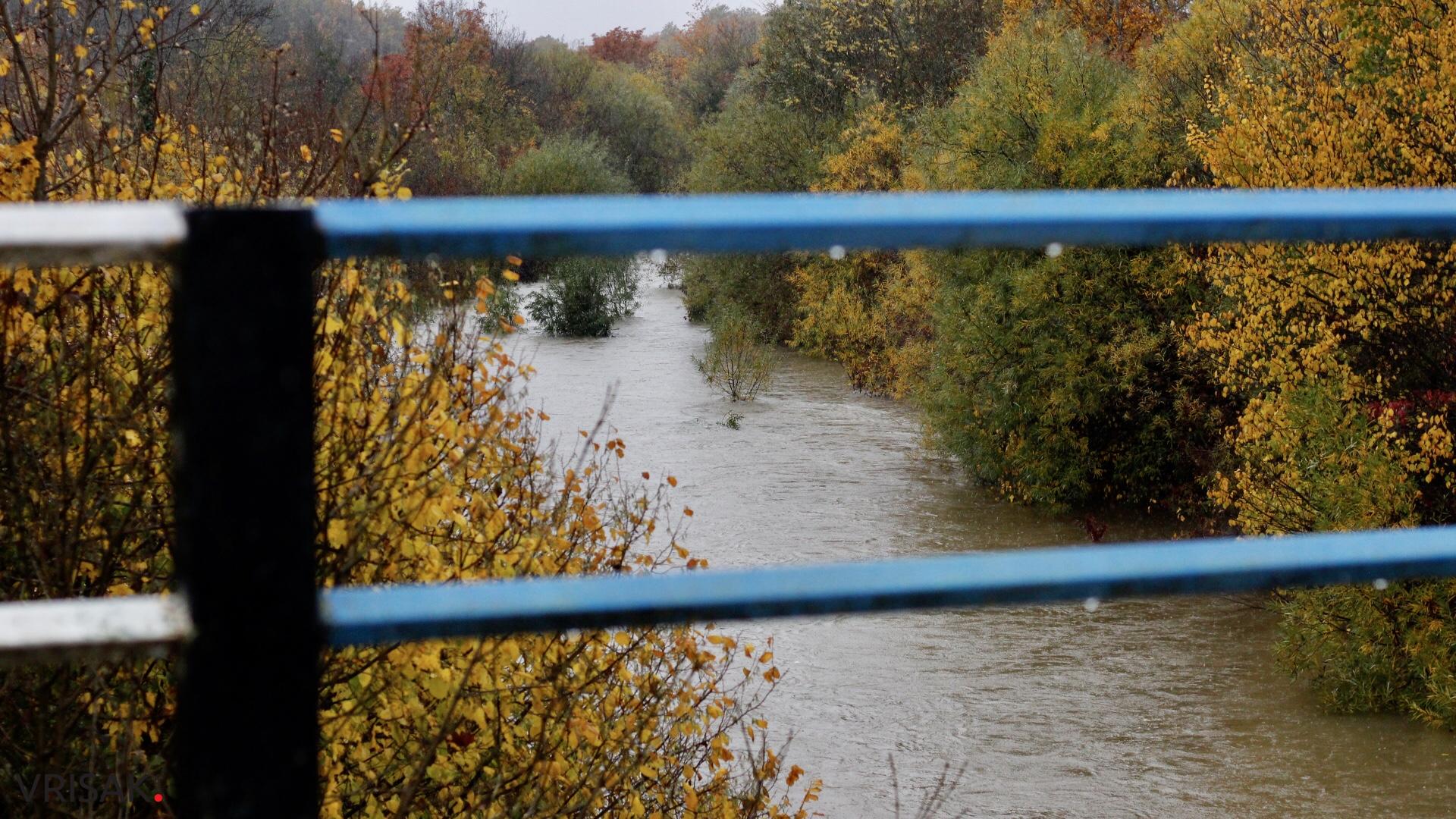 Lištica nabujala, Ugrovača protekla