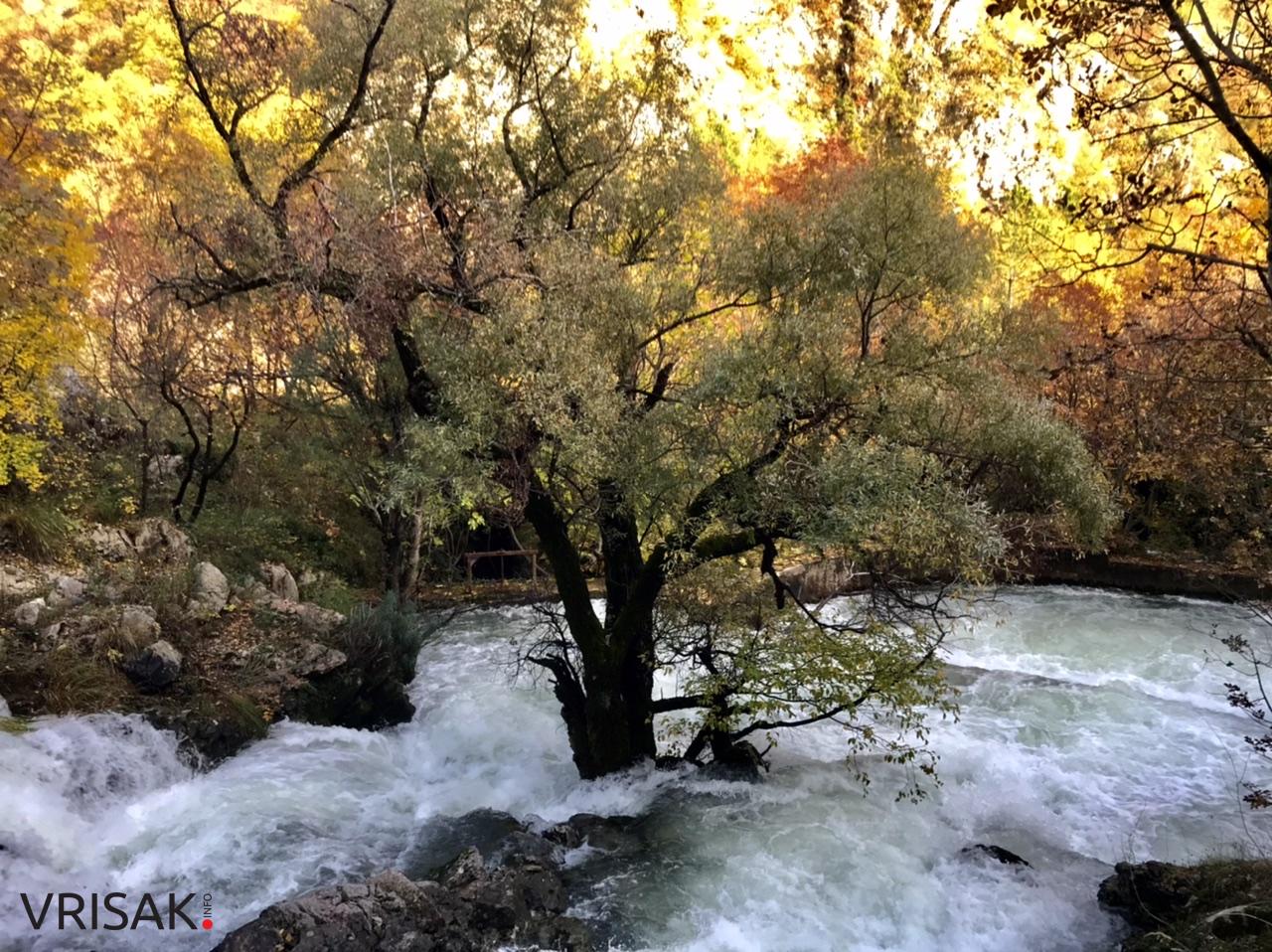 Sunčana nedjelja i prirodne ljepote Borka izvukle Širokobriježane u šetnju
