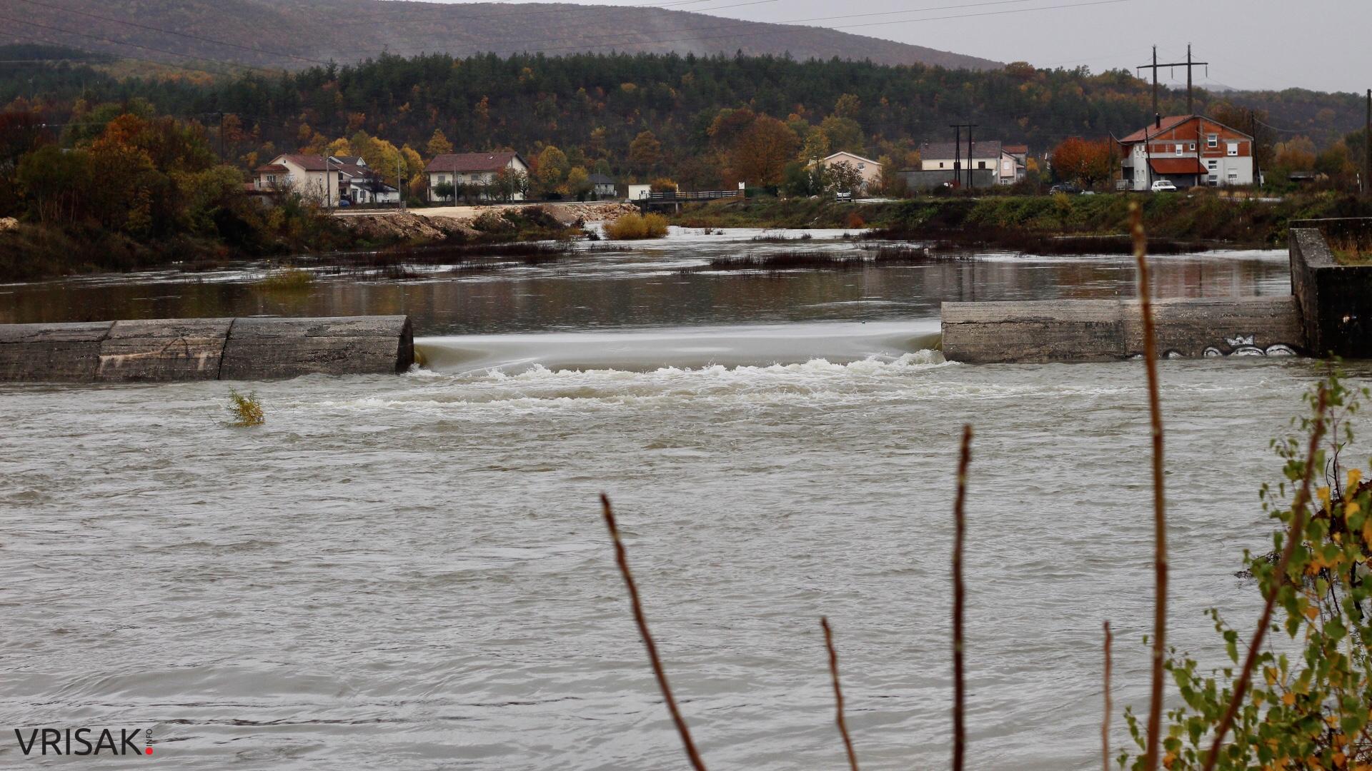 Lištica nabujala, Ugrovača protekla
