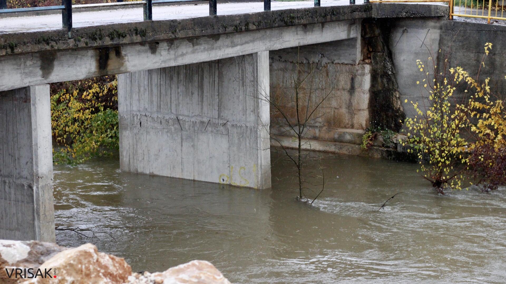 Lištica nabujala, Ugrovača protekla