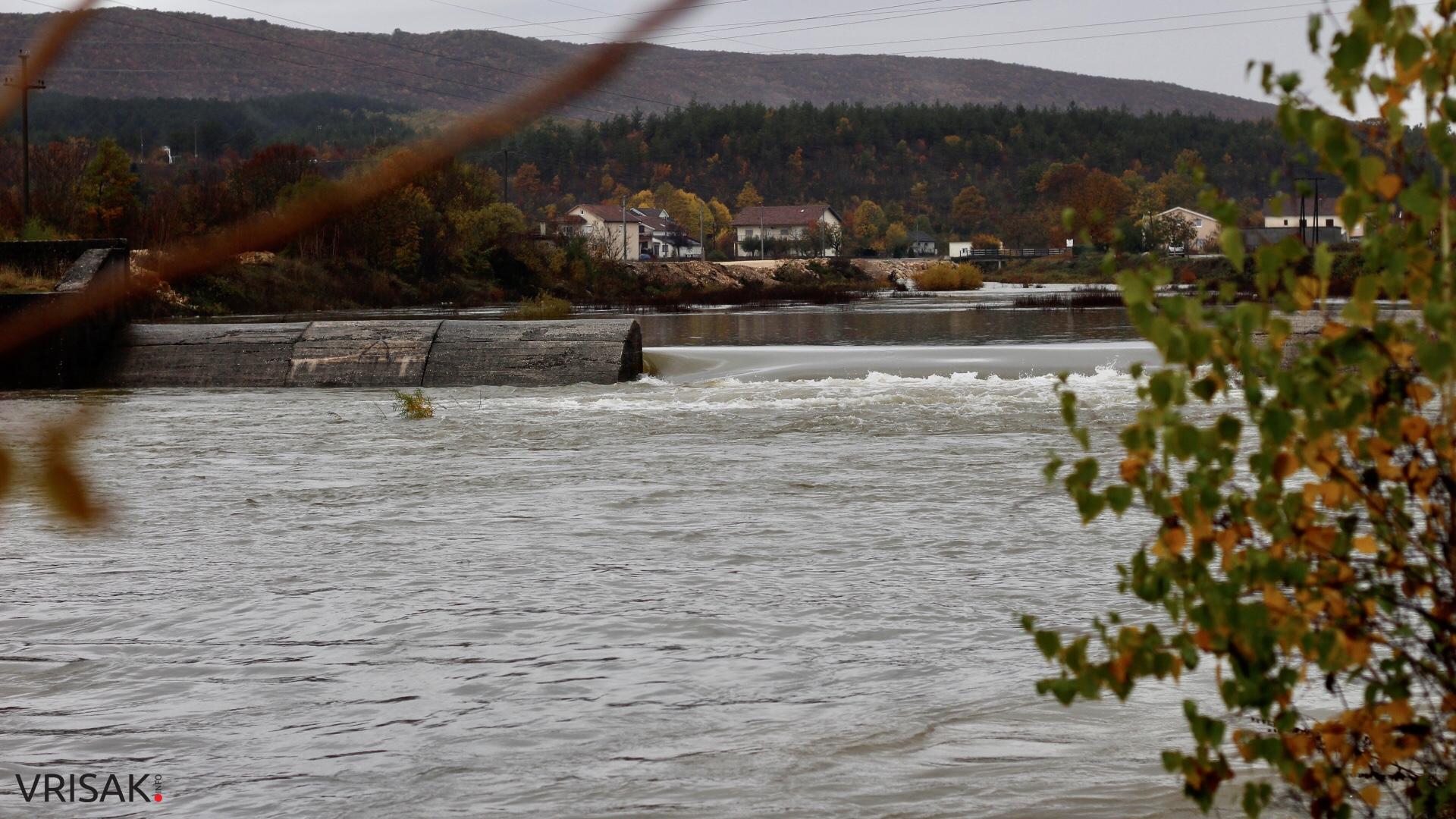 Lištica nabujala, Ugrovača protekla