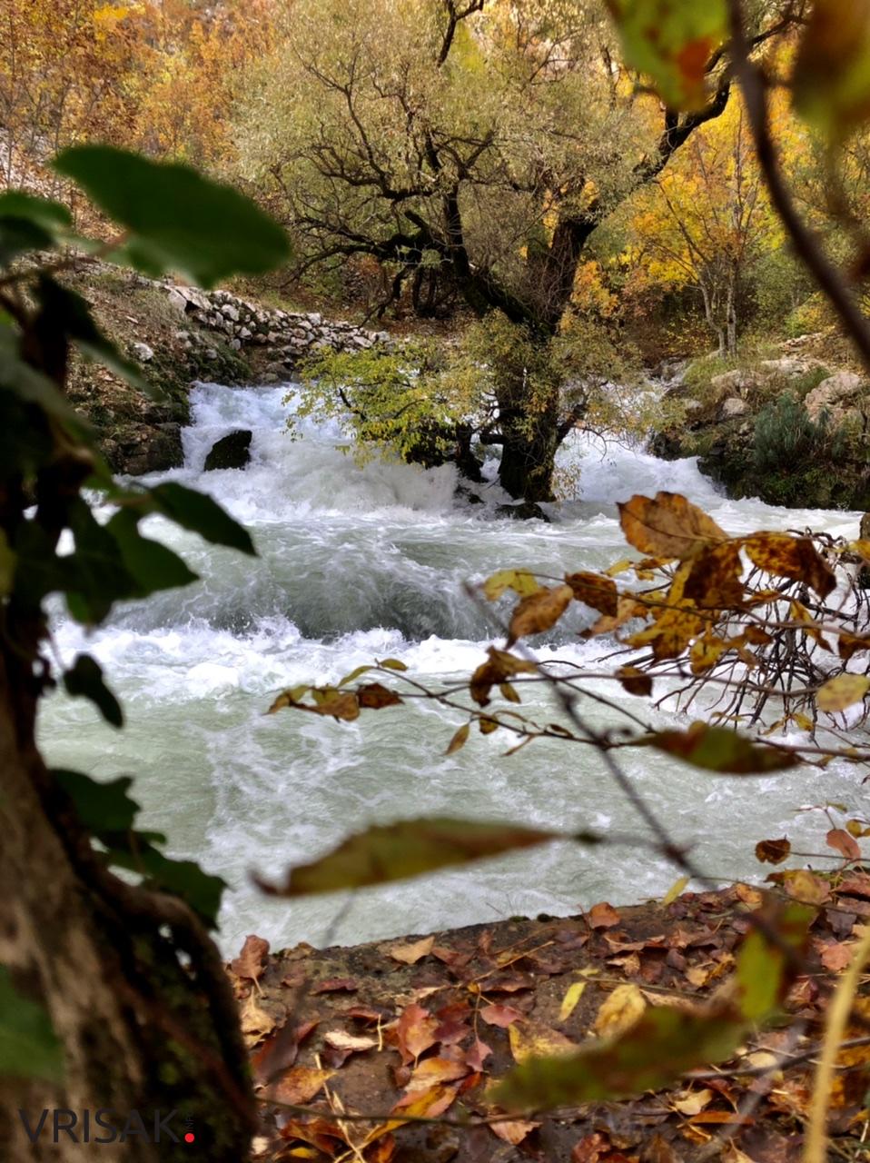 Sunčana nedjelja i prirodne ljepote Borka izvukle Širokobriježane u šetnju
