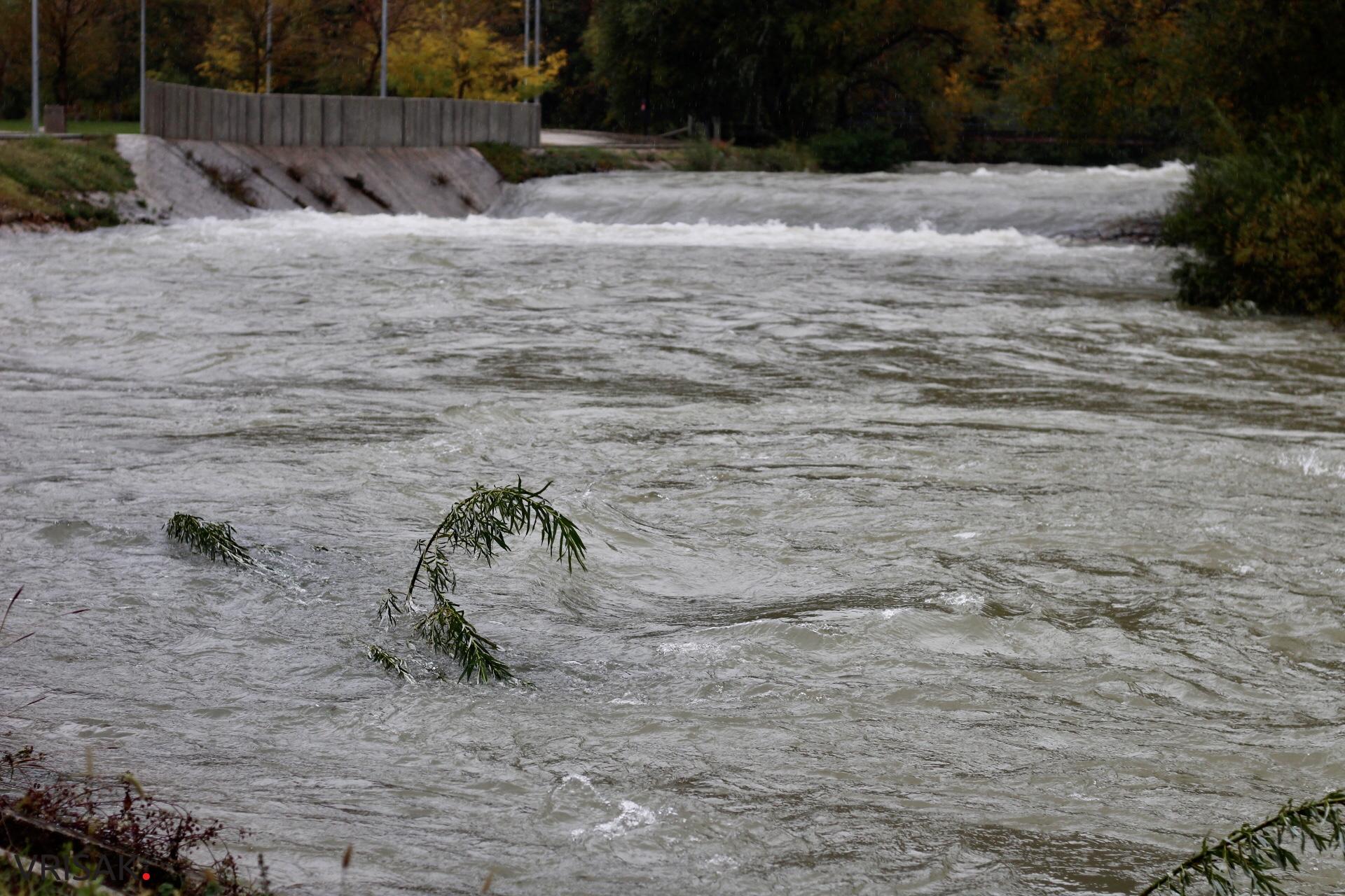 Lištica nabujala, Ugrovača protekla