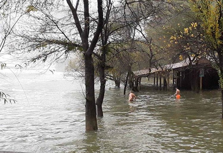 Kupali se na Kravici usred poplave i visokog vodostaja