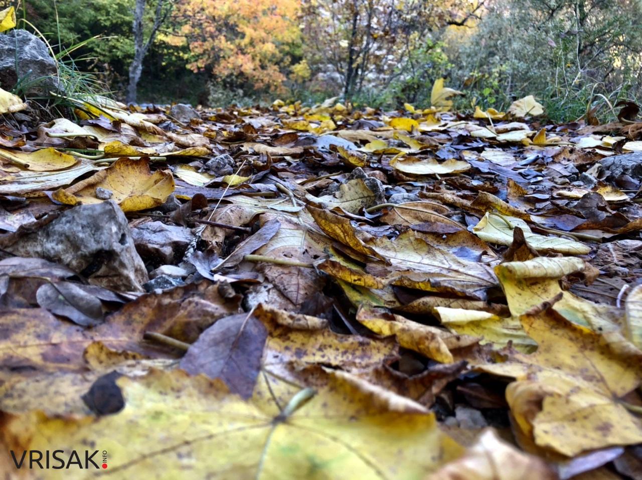 Sunčana nedjelja i prirodne ljepote Borka izvukle Širokobriježane u šetnju