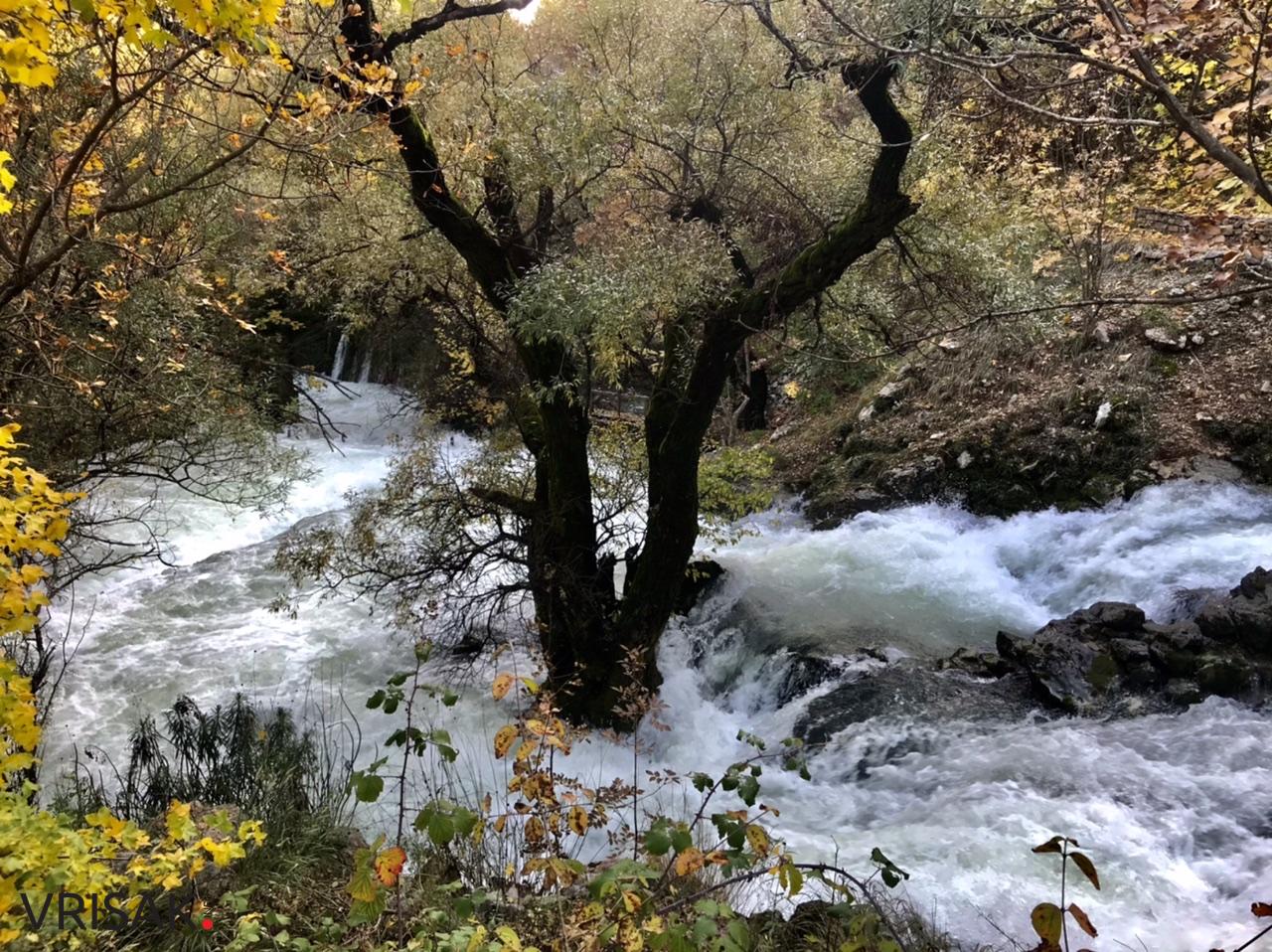 Sunčana nedjelja i prirodne ljepote Borka izvukle Širokobriježane u šetnju