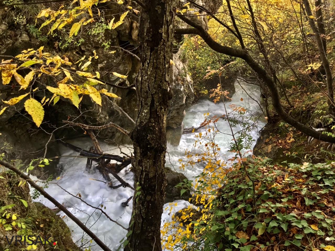 Sunčana nedjelja i prirodne ljepote Borka izvukle Širokobriježane u šetnju