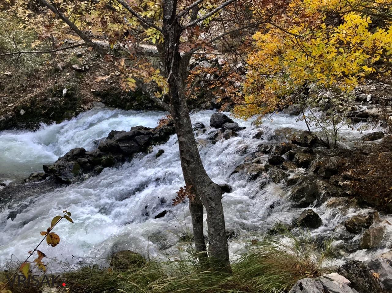 Sunčana nedjelja i prirodne ljepote Borka izvukle Širokobriježane u šetnju