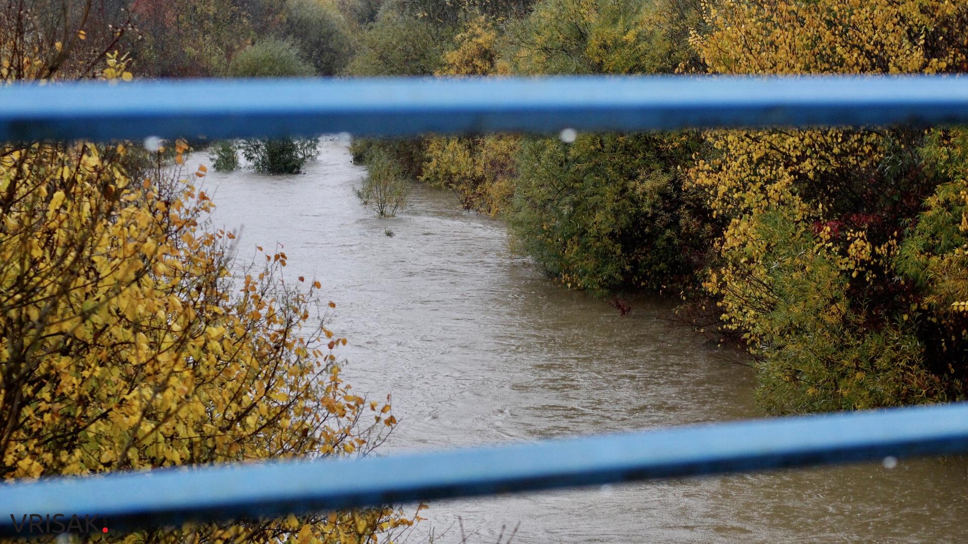 Lištica nabujala, Ugrovača protekla