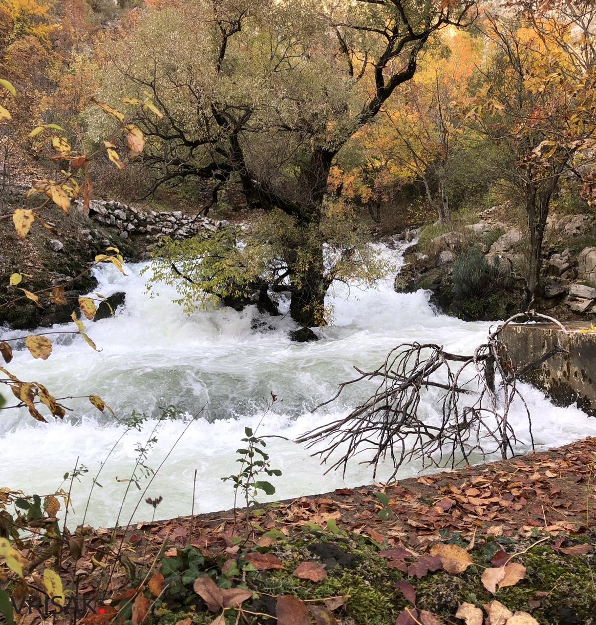 Sunčana nedjelja i prirodne ljepote Borka izvukle Širokobriježane u šetnju