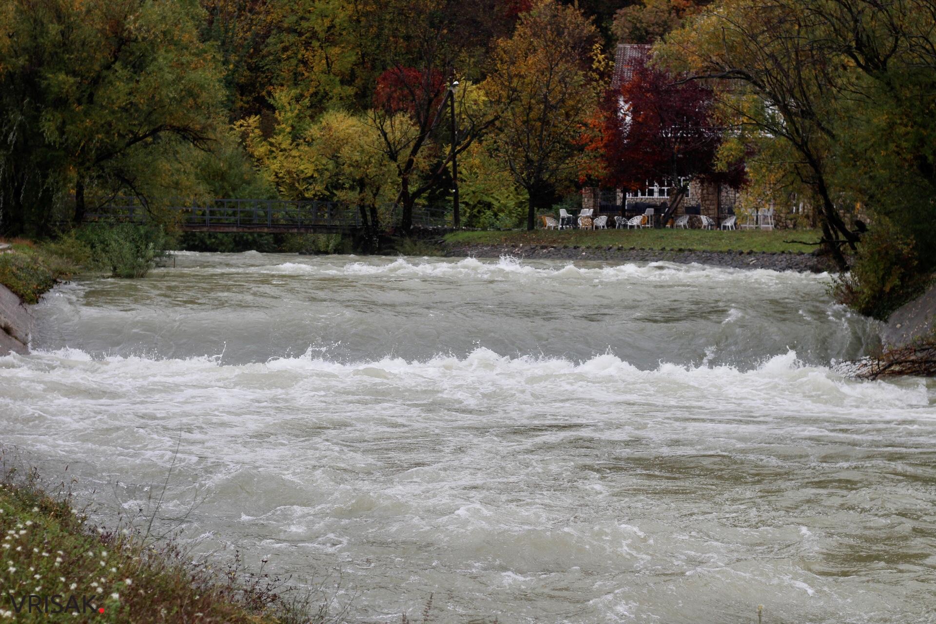 Lištica nabujala, Ugrovača protekla