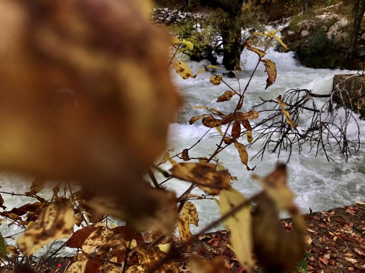 Sunčana nedjelja i prirodne ljepote Borka izvukle Širokobriježane u šetnju