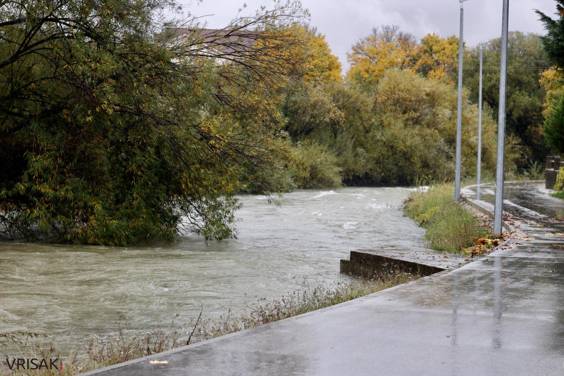 Lištica nabujala, Ugrovača protekla