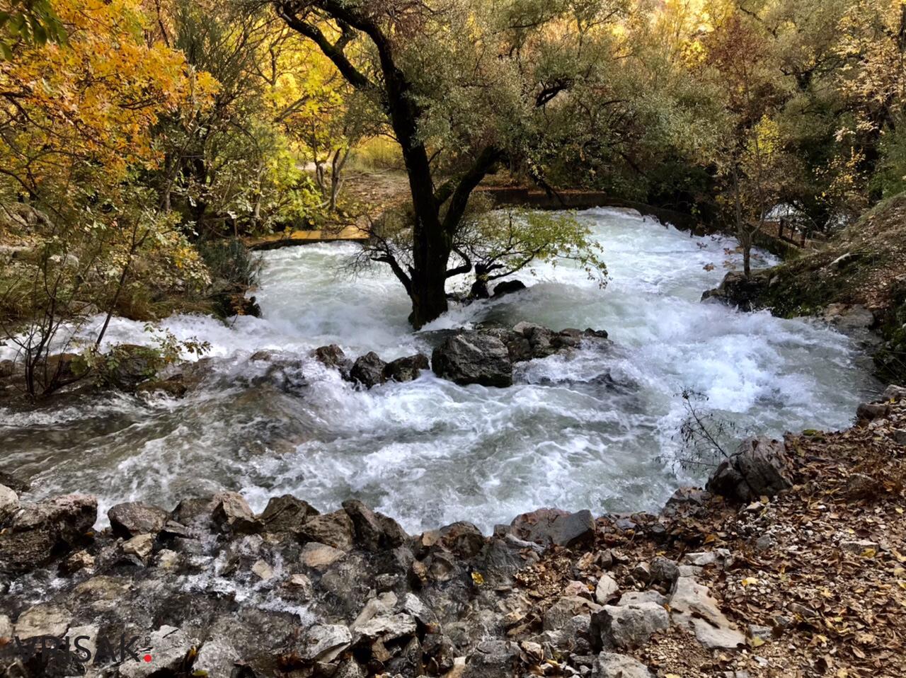 Sunčana nedjelja i prirodne ljepote Borka izvukle Širokobriježane u šetnju